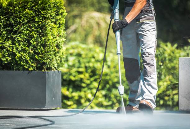 Animal Enclosure Cleaning in Pelican Bay, FL